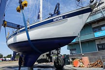 Asterie having her survey a hallberg-rassy 42E in the slings at Eastbourne Marina having her pre-purchase yacht survey