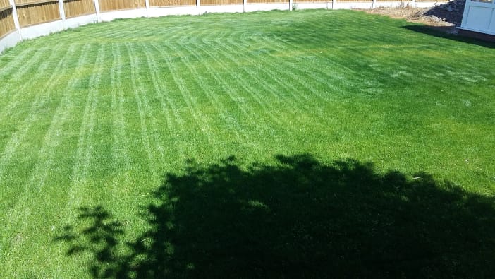 Stripy-Lawn green grass with stripes mown